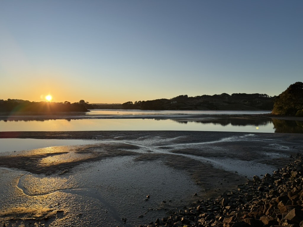 Raglan Harbour at sunset